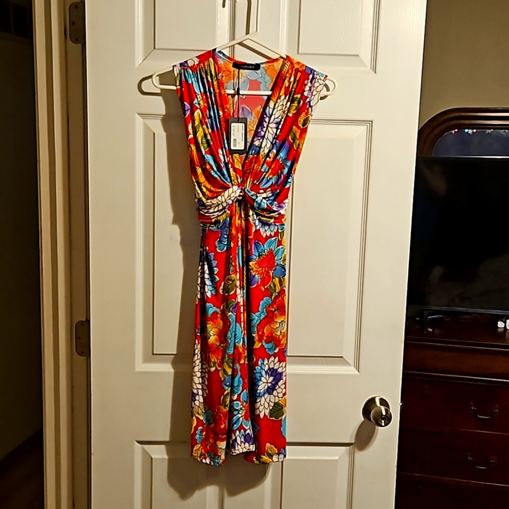 Size large women's dress